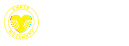 Chris Movement CIC